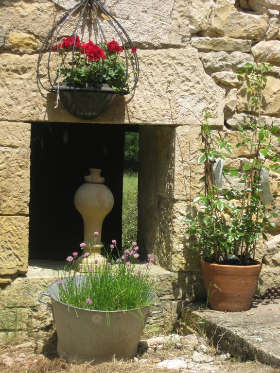 مبيت وإفطار Caylus Domaine La Rose المظهر الخارجي الصورة